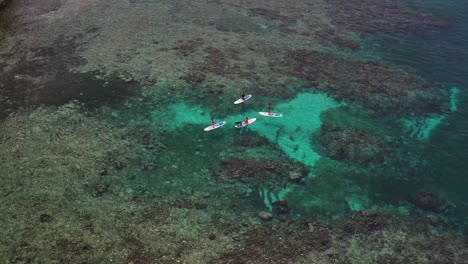 Group-of-Friends-Paddle-boarding-over-Caribbean-Ocean-Coral-Reefs-Aerial-Shot