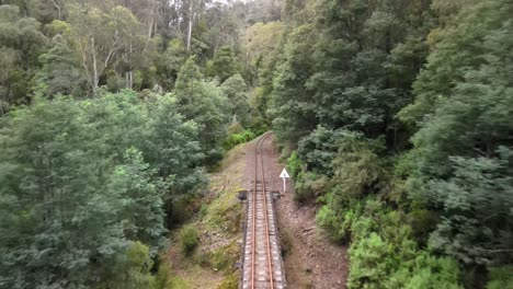 Steam-railway-track-in-Gippsland