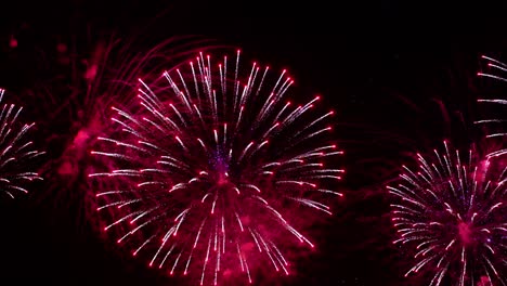 Colorful-fireworks-exploding-in-the-night-sky.-Celebrations-and-events-in-bright-colors.