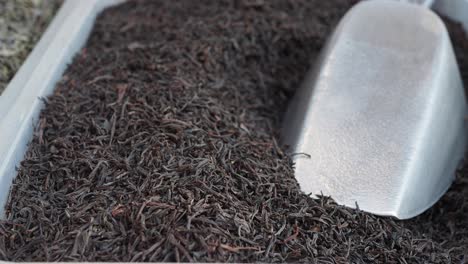 loose leaf black tea in a tray with scoop