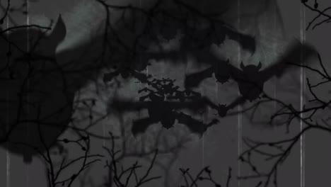 Animation-of-interference-over-scary-halloween-bats-flying-and-tree-branches-on-grey-background