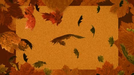 animation of multiple autumn leaves falling on brown background