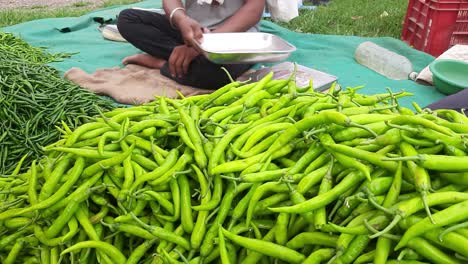 Großer-Grüner-Chili-Auf-Dem-Lokalen-Gemüsemarkt