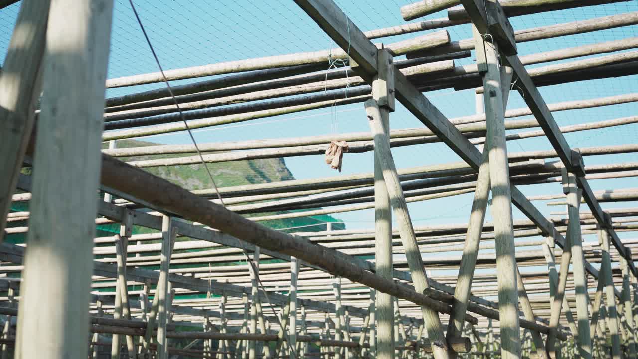 노르웨이 북부의 앞바다에서 랙에 매달린 고등어