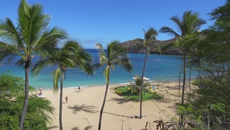 Mirando-Hacia-Abajo-En-La-Bahía-De-Hanauma,-Oahu-Hawaii-Con-Palmeras,-Arena-Y-Océano