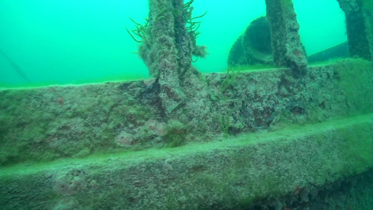 goldrush paddlwheel aj goddard의 우현 선수