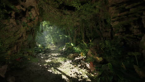 camino iluminado por el sol a través de la exuberante cueva de la selva