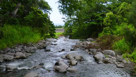 el arroyo del río wailuku fluye con agua dulce por el valle de iao en maui