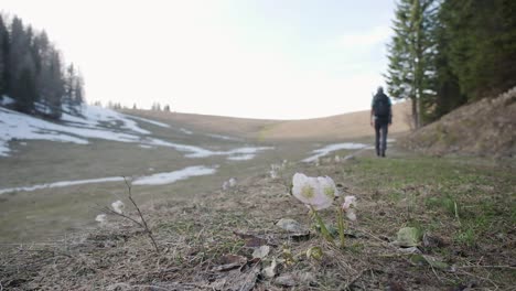 hiking to the top of a ridge with green flat plains between slovenia and austria