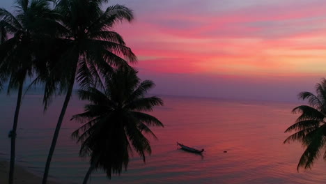 red sunset over the tropical beach. in the foreground are black silhouettes of palm trees. vertical pan