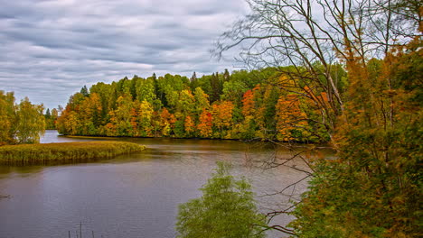 escena de lapso de tiempo de un río tranquilo que fluye a través de un bosque salvaje de otoño