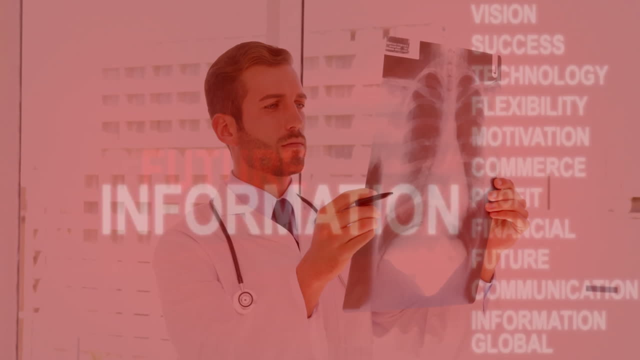 Examining chest X-ray, doctor reviewing medical information animation in hospital