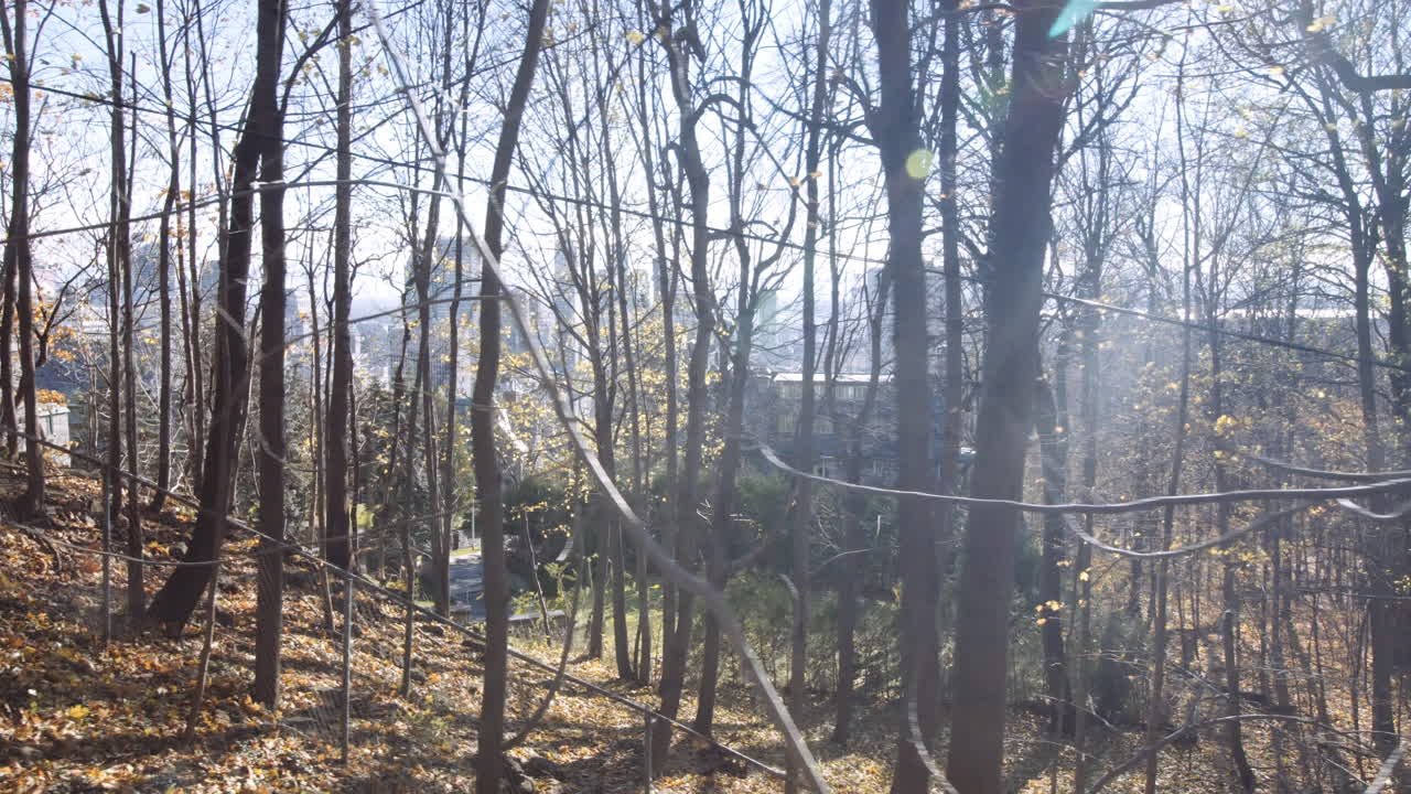 몬트리올,  ⁇ , 캐나다의 가을에 마운트 로 ⁇  주변의 움직이는  ⁇