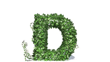 Letter-D-made-of-green-grass-on-white-background