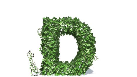 letter d made of green grass on white background