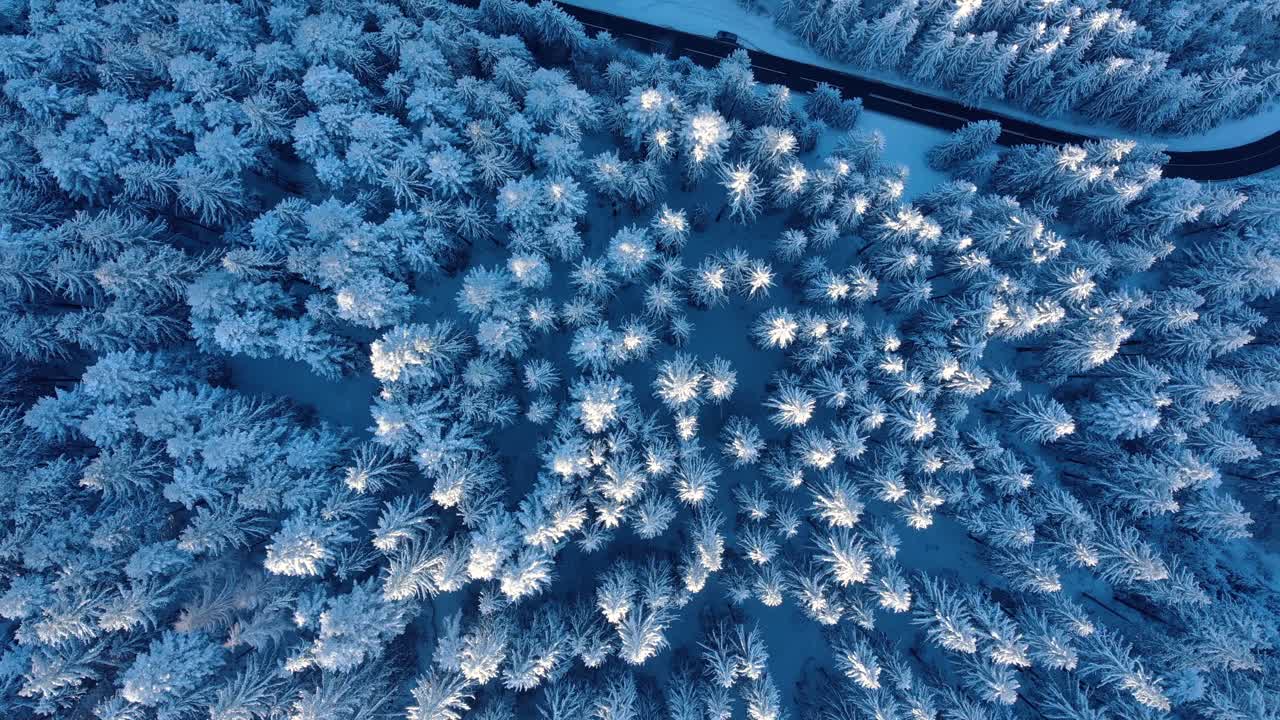 Topbillede af sneklædt nåleskov og bjergvej om vinteren - droneoptagelse fra luften