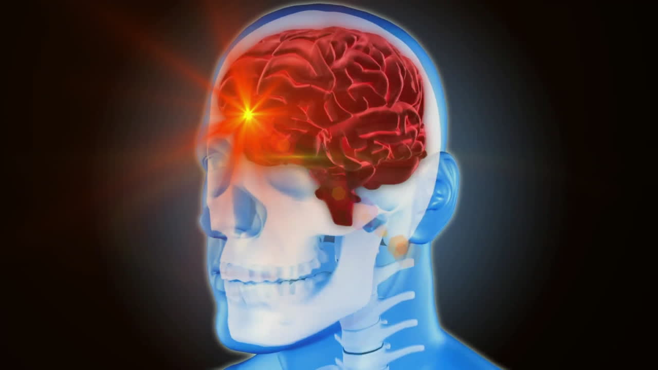 회색 배경에 신경계 네트워크와 함께 인간의 뇌의 애니메이션