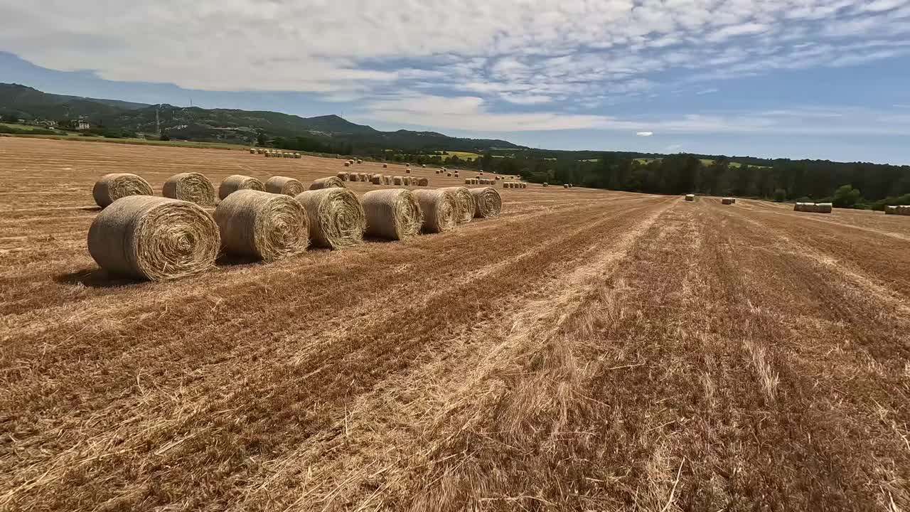 Fluid FPV drone footage showcasing a harvested hayfield featuring scattered round bales under a partly cloudy sky. The field is surrounded by a tree-lined horizon.