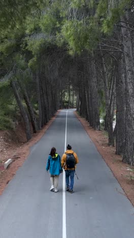 couple walking down a tree-lined road