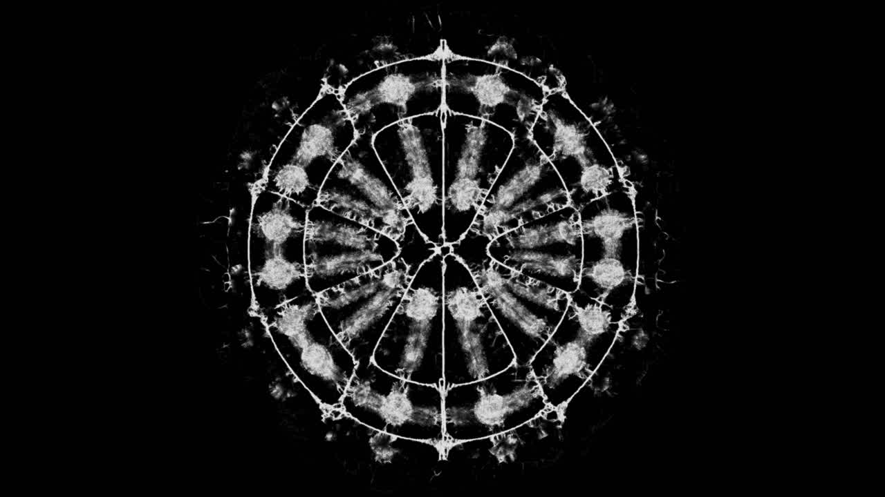 Cymatic Patterns in Mycelium Growth