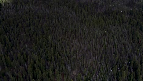 a high- flying drone shot of mt