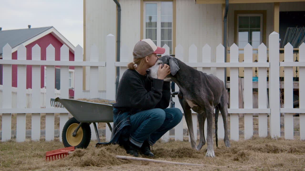 Woman Kissing a Great Dane in a Backyard Garden