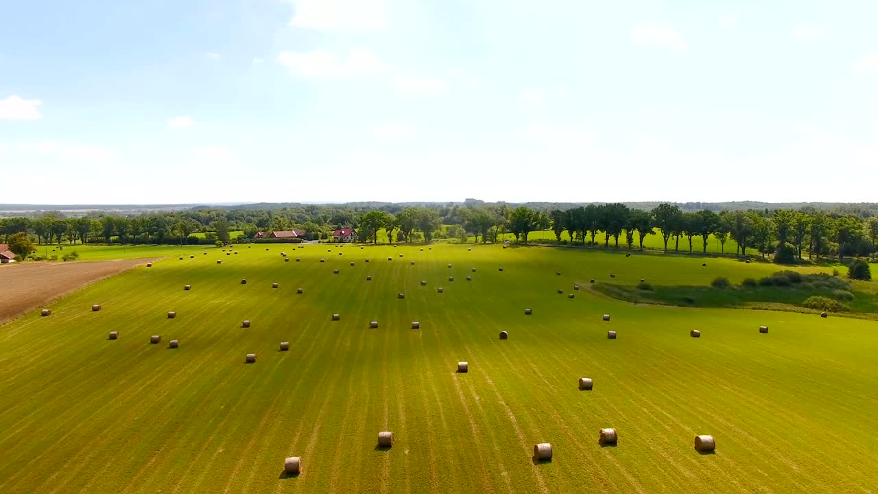 공중: 풀이 있는