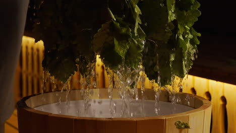 preparing an oak leaf bath in a sauna