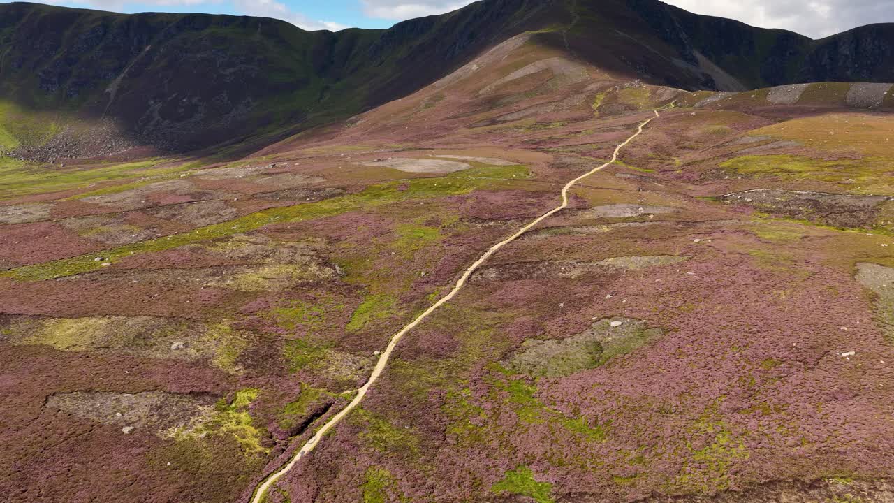 Drone glides above heather valley, mountain path, under soft daylight and partly cloudy sky
