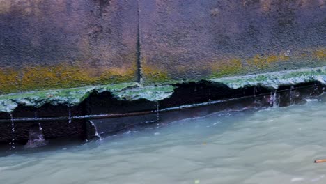 el agua fluye suavemente a lo largo de una pared de canal cubierta de musgo, creando una atmósfera serena y natural en un entorno vibrante