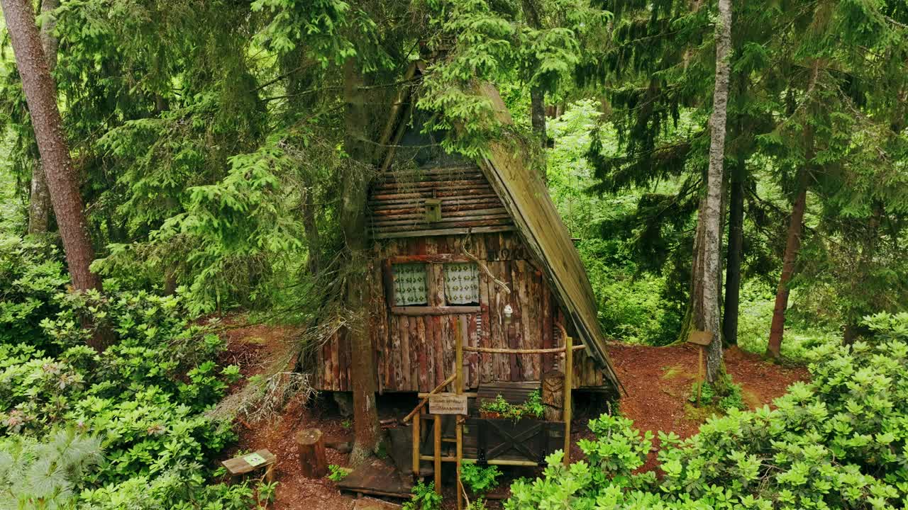 Hidden Wooden Hut in Evergreen Latvian Forest – Mysterious Tranquil Shelter
