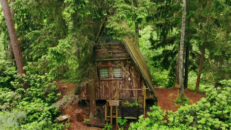 hidden wooden hut in evergreen latvian forest – mysterious tranquil shelter