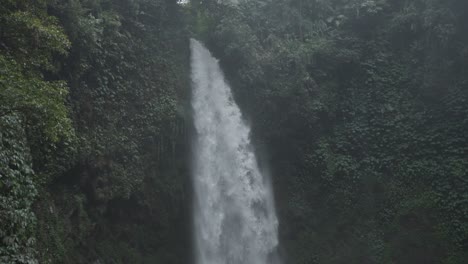 waterfall in a lush green jungle