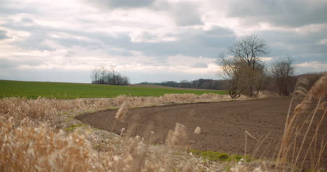 Loving-Agriculture-Rural-Scene-Of-Agriculture-Landscape-1