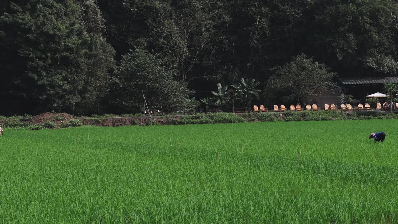 푸른   을 돌보는 농부 들