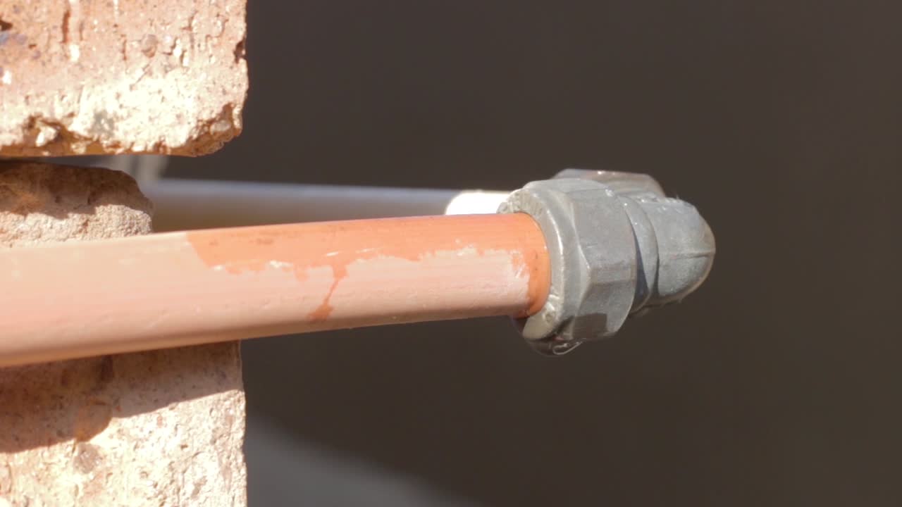 정적 샷 새는 탭