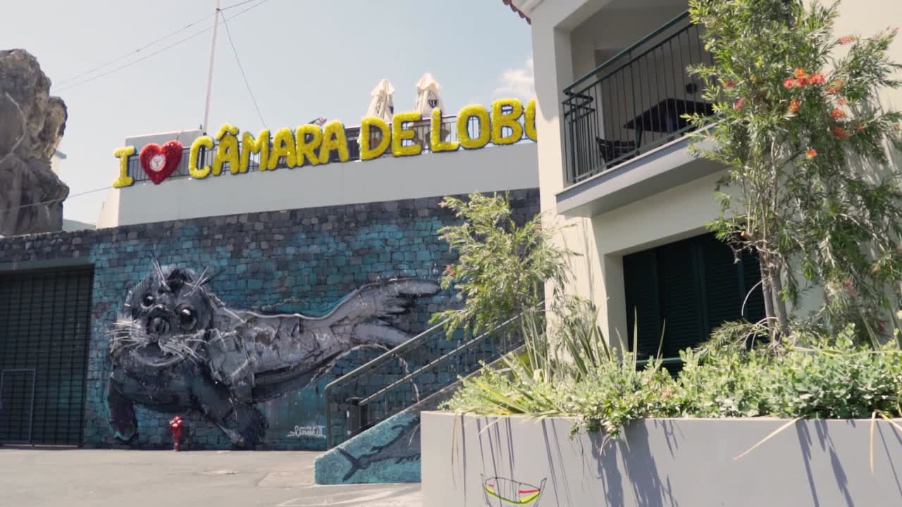 mural de arte callejero de un sello en la cámara de lobos