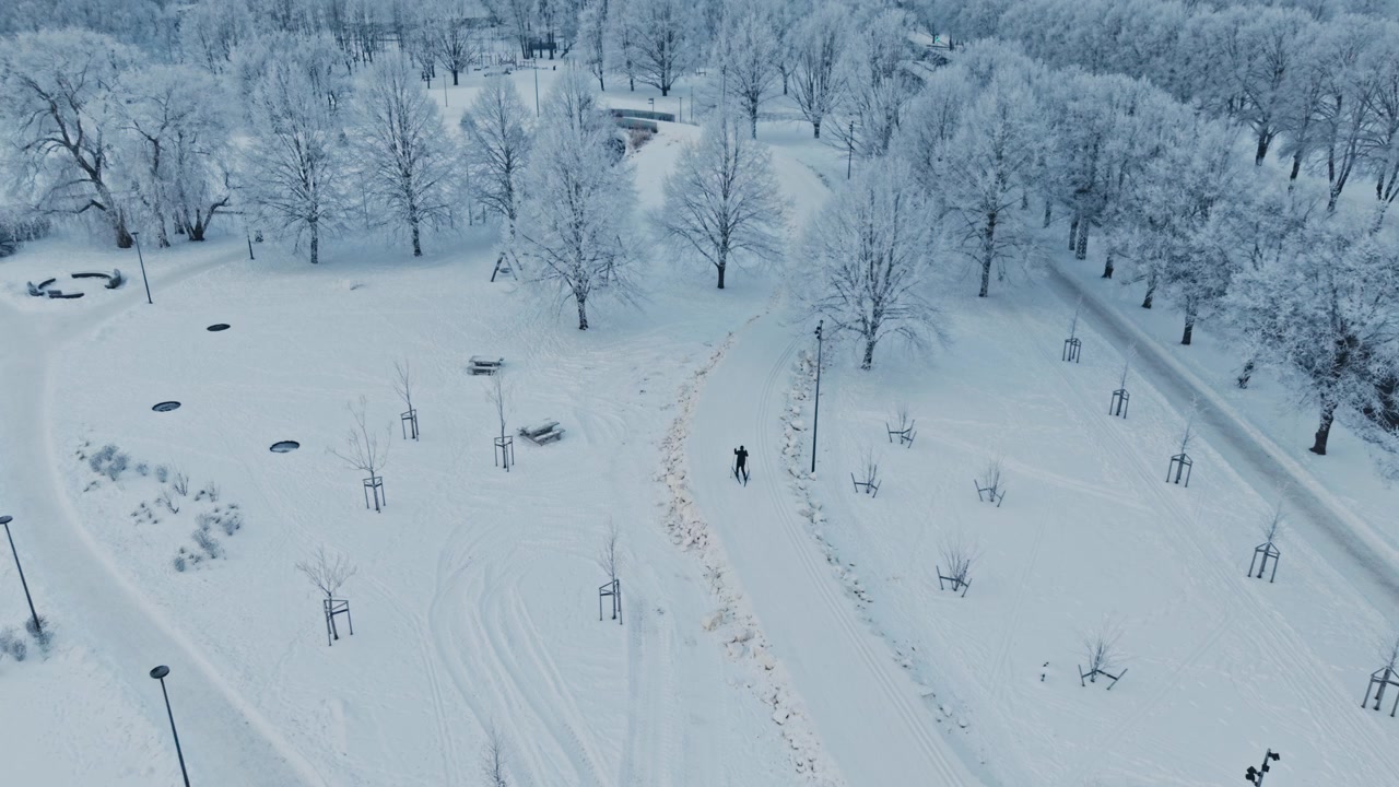 Voorwaartse luchtvlucht, langlaufer glijdend over het Overwinningspark, Riga