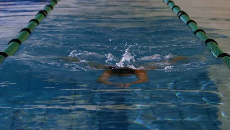 fit female swimmer doing the breast stroke in swimming pool