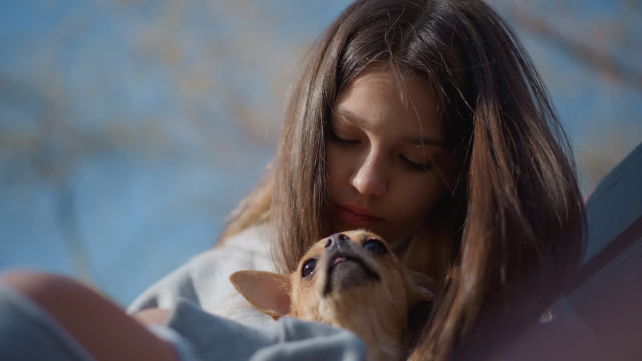 장난기 넘치는 강아지가 어린 소녀와 따뜻한 애정을 나누는 모습이에요. 사랑을 표현하는 쾌활한 강아지와 밝고 화창한 배경, 웃는 어린 소녀에게 애정을 표현하는 활기찬 치와와를 보여주는 햇빛이 잘 드는 공원 장면이네요.