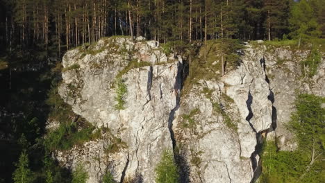 rocky cliff face with forest