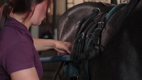 woman grooming a horse's harness