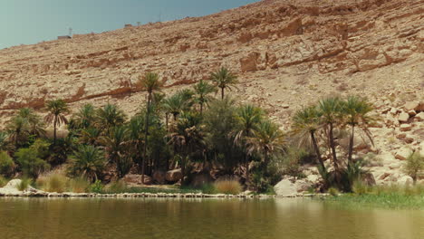 oasis in a desert valley