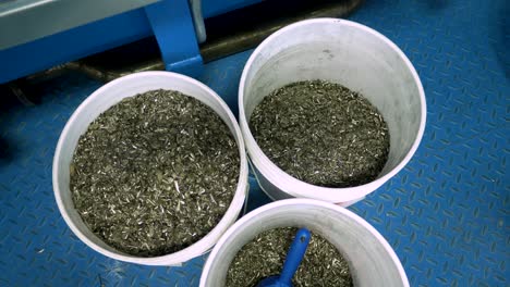 three buckets of metal shavings in a metal recycling plant