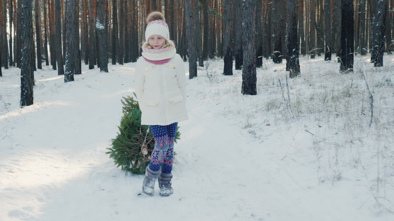 милая девочка везет новогоднюю елку на санках по заснеженной тропинке в зимнем лесу