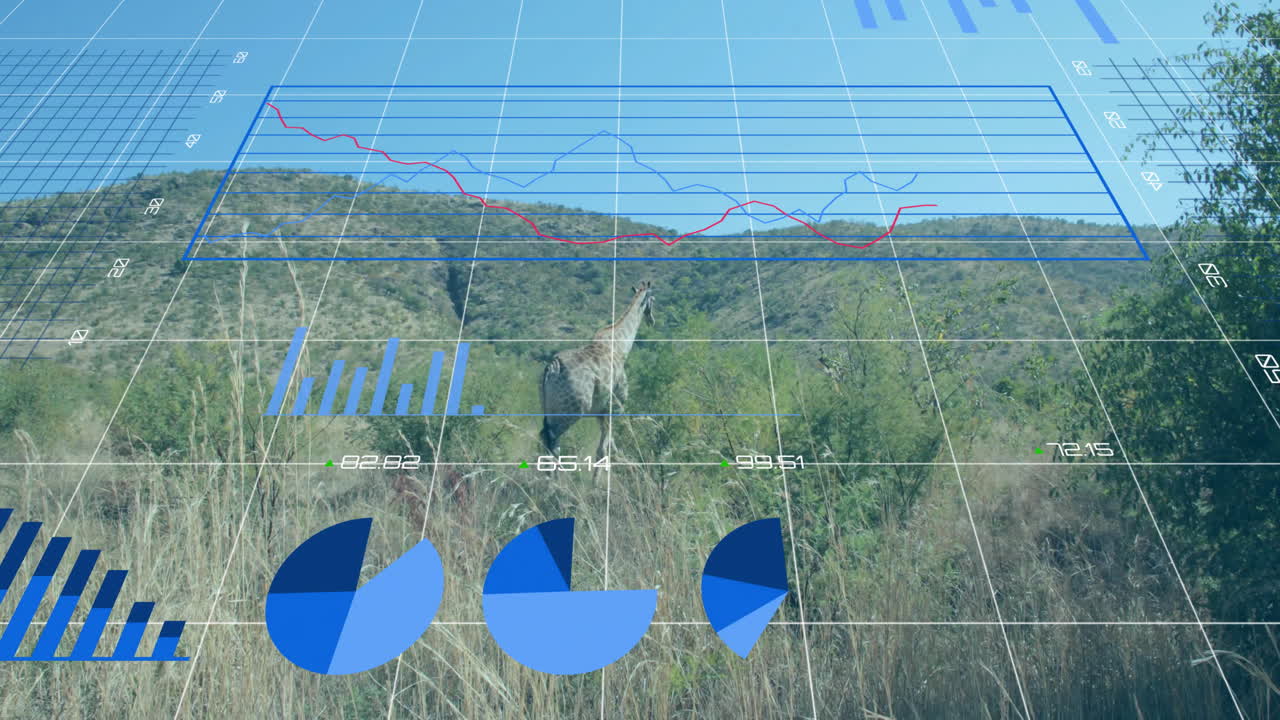 Giraffe walking through grassland while animated data overlay showing bar and line graphs