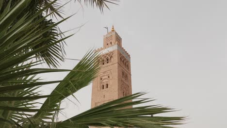 view through palm tree to tower of kutubiyya mosque in marrakesh, morocco