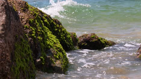 cean waves hit rocks and splashes of sponges