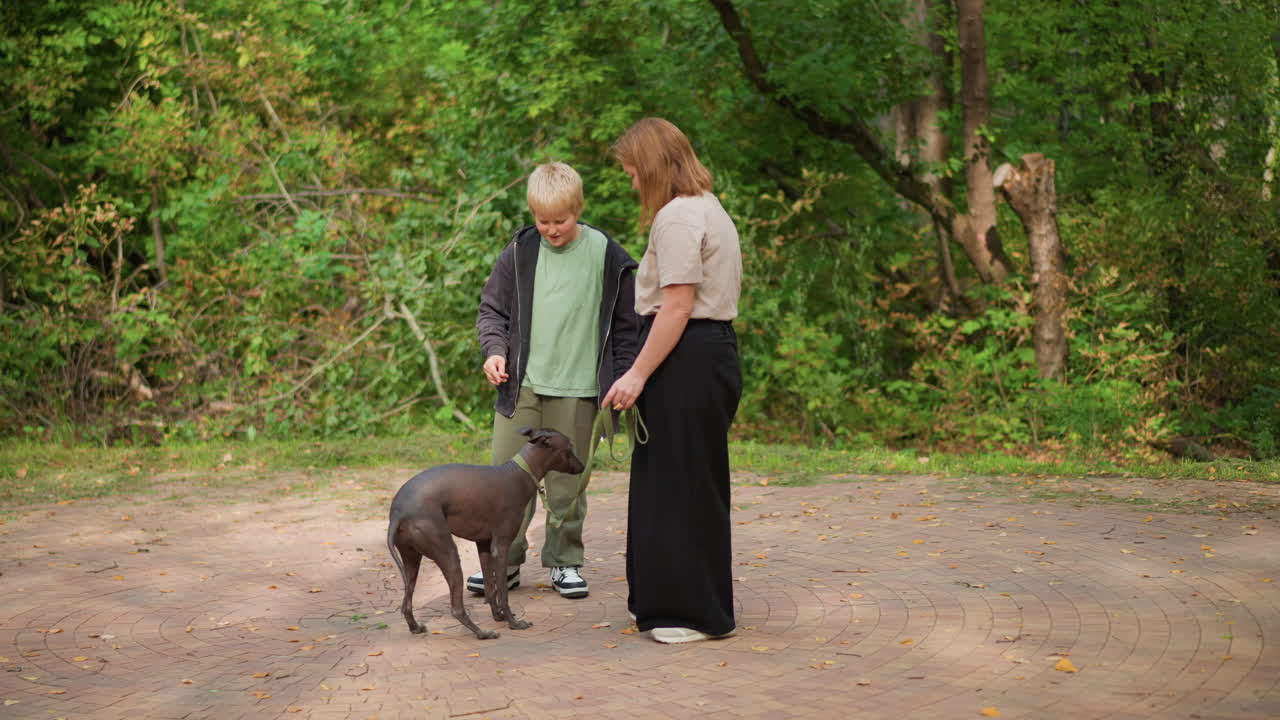 White Boy And Woman Practicing Leash Training With Dog On Open Dirt Clearing, Concentrated Cues And Steady Hands Control Movement, Attentive Pet Responds To Calm Direction Amid Trees
