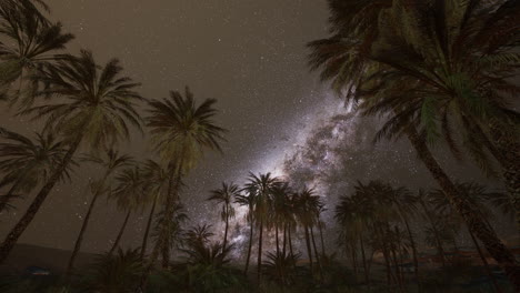 Night-scene-with-silhouette-hut-and-coconut-tree-with-Milky-Way-Galaxy-in-sky